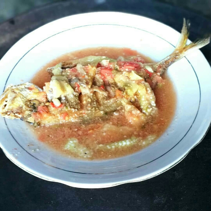 Sepat ikan Laut