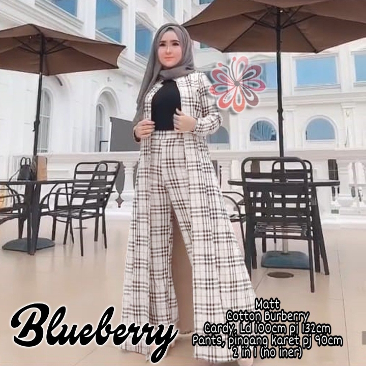 Set Blueberry 2in1