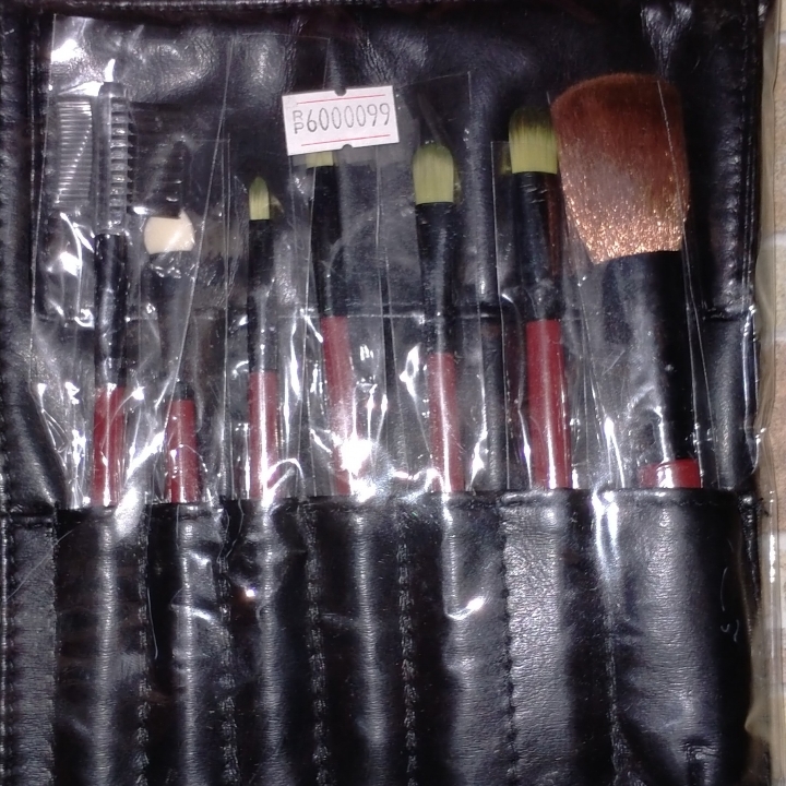 Set Brush Make Up 2