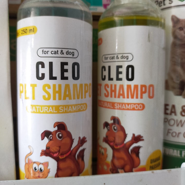 Shampo Cleo