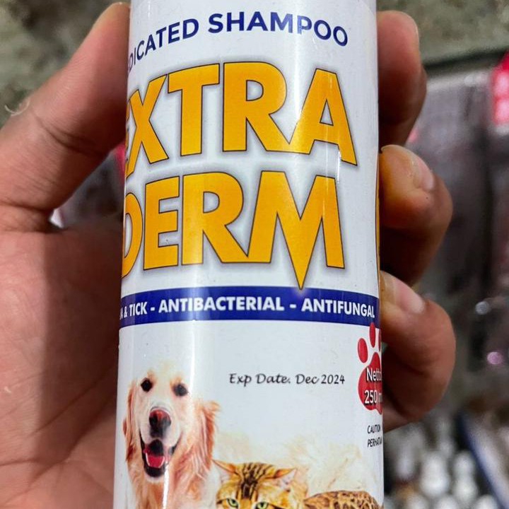 Shampoo 