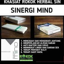 Sinergi Mind