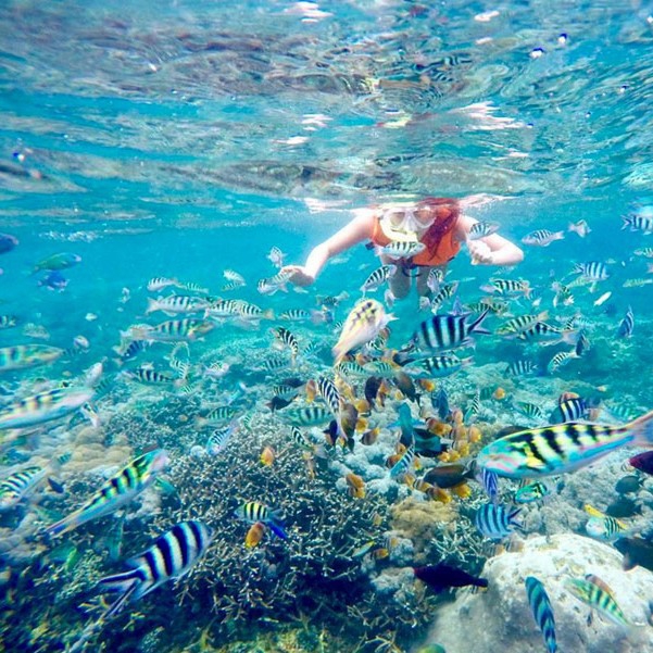 Day Trip Lembongan Snorkeling