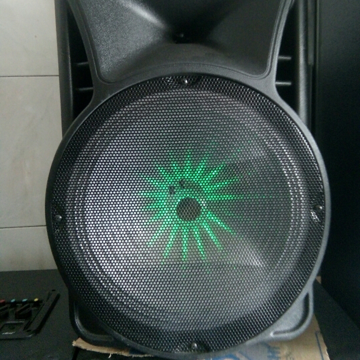 Speaker