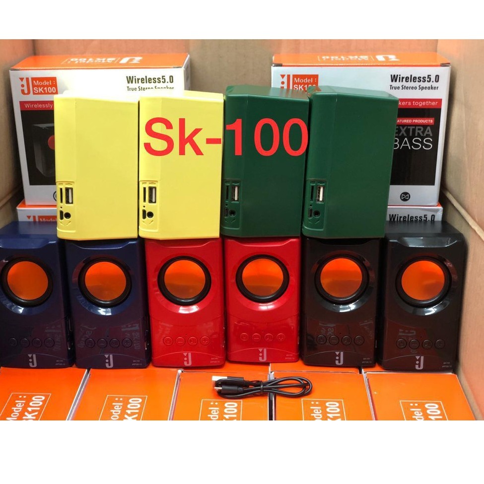 Speaker BT Sk 100