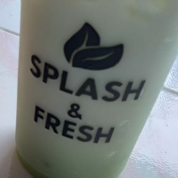 Splash Boba Avocado