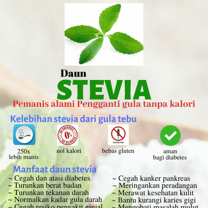 Stevia Pemanis Alami