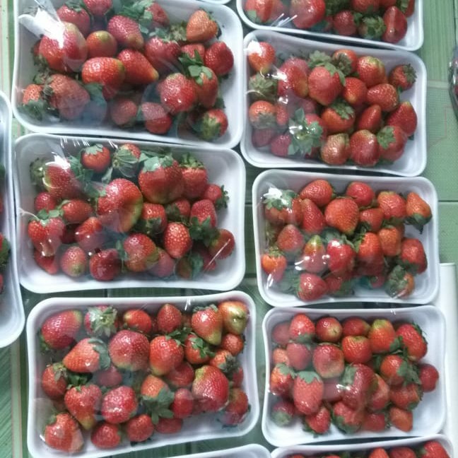 Strawberry