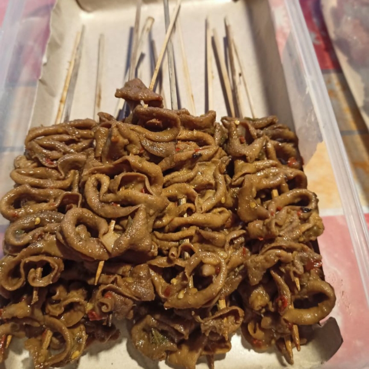 Sundukan Usus