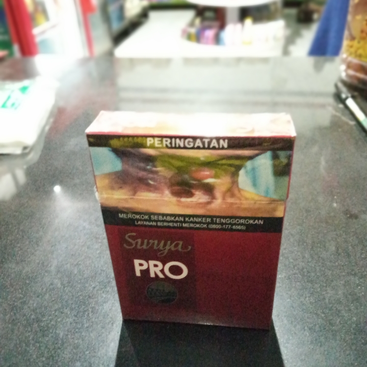 Surya Professional 16 2