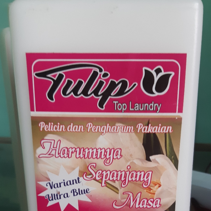 TULIP TOP LONDRY