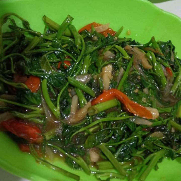 TUMIS KANGKUNG