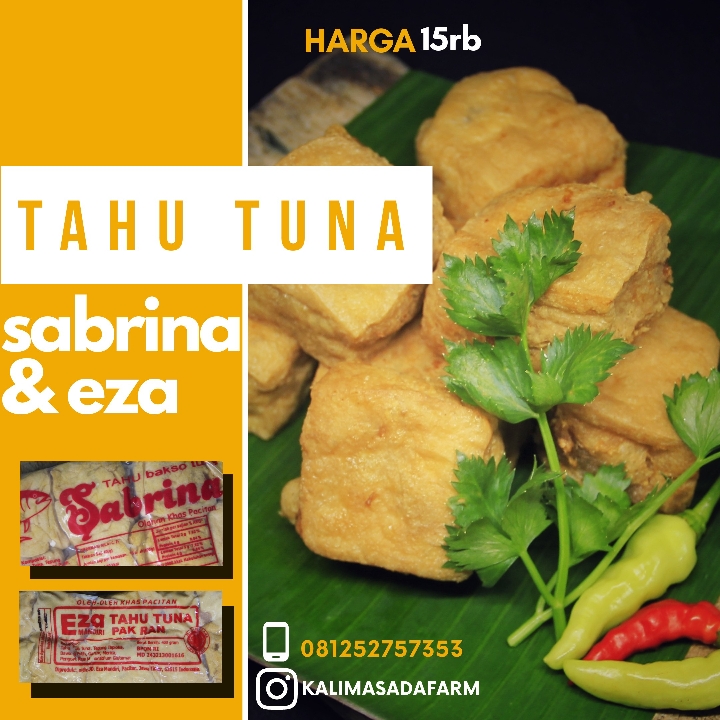 Tahu Tuna