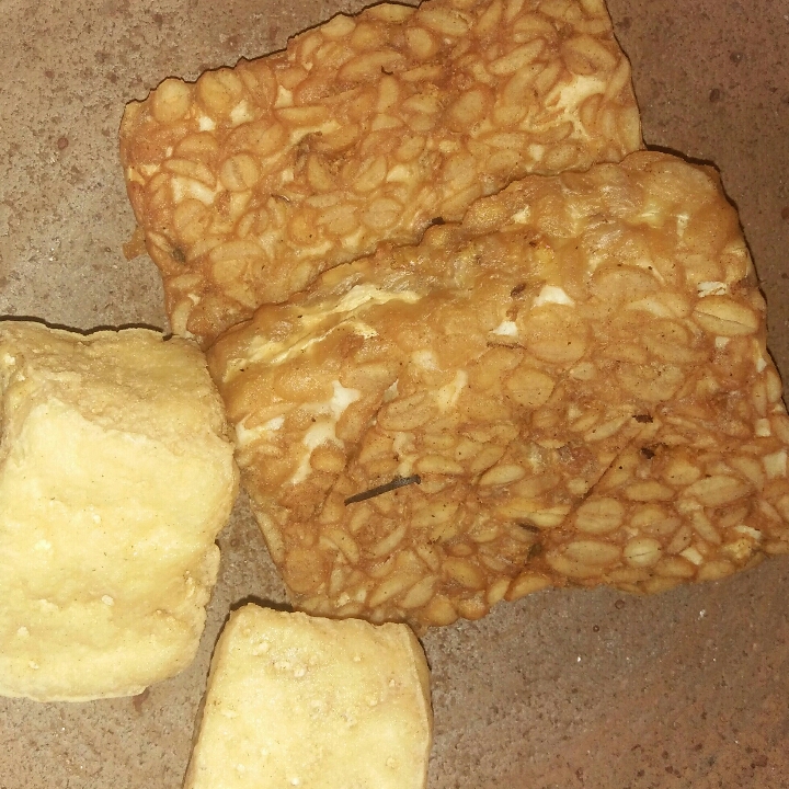 Tahu tempe