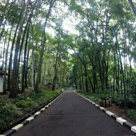 Taman Hutan Raya Djuanda 3