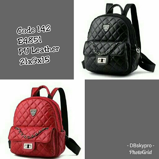 Tas Import E4851