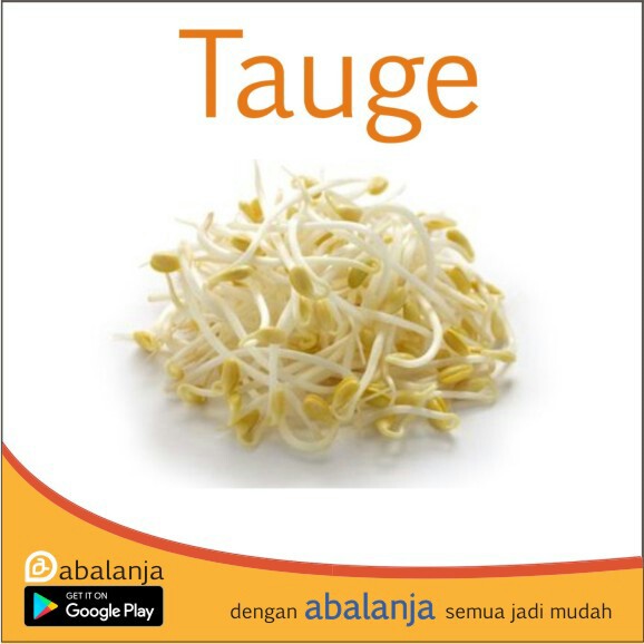 Tauge 500gr