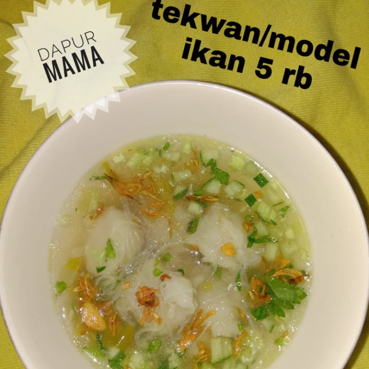 Tekwan Dan Model Ikan