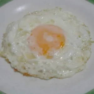 Telor Ceplok