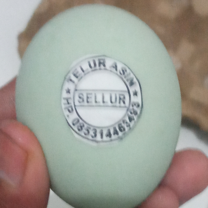 Telur Asin Sellur