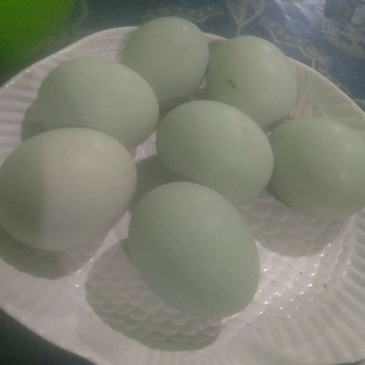 Telur Bebek