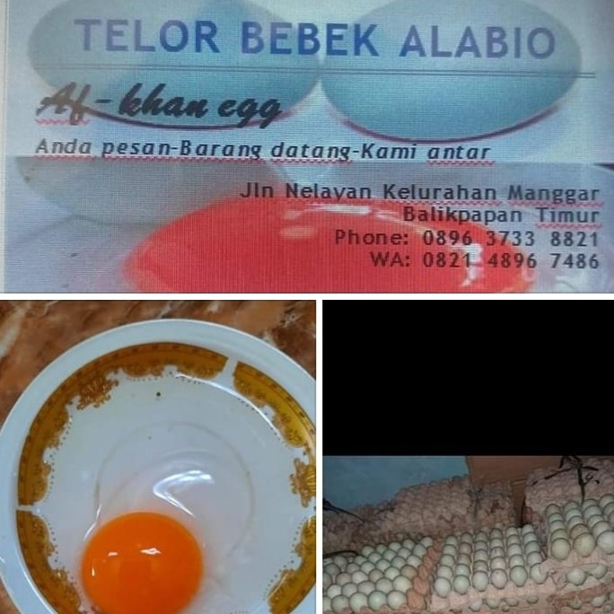 Telur Bebek 2