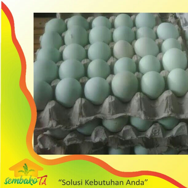 Telur Bebek Kampung