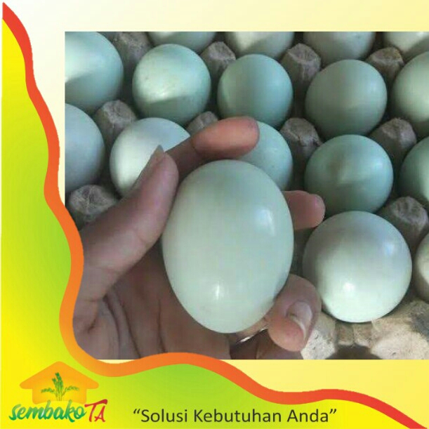 Telur Bebek Kampung 2