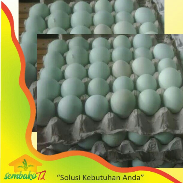 Telur Bebek Kampung 3