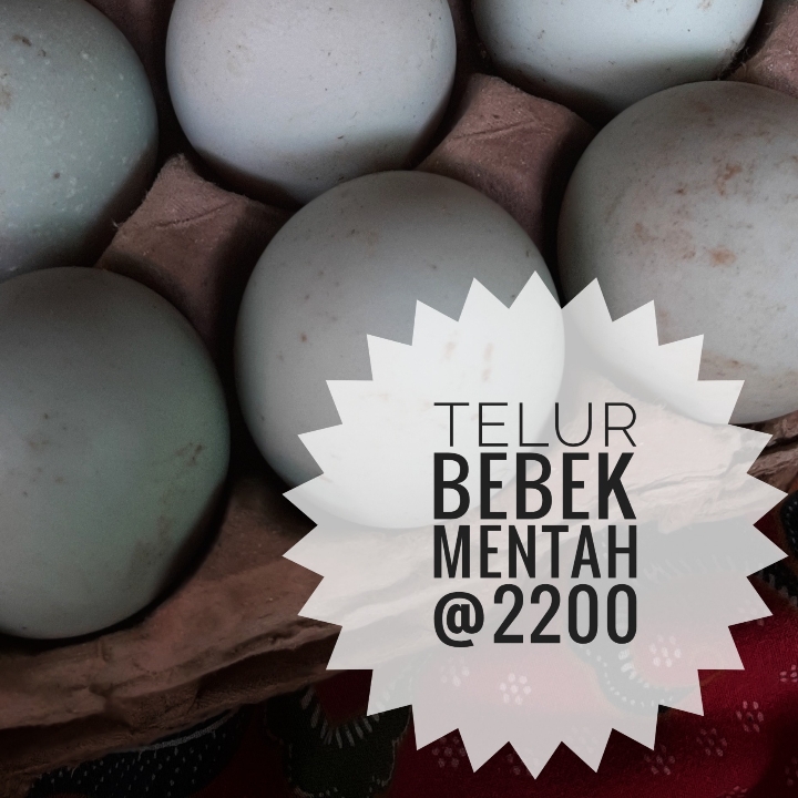 Telur Bebek Mentah Promo