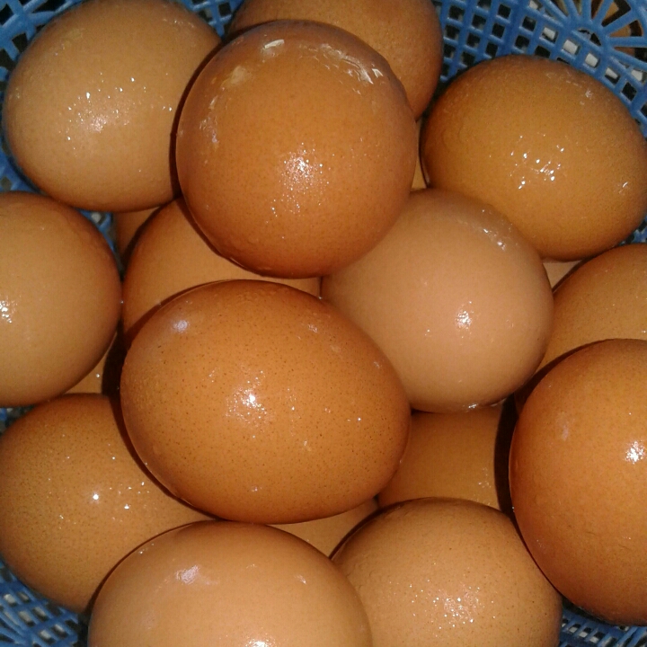 Telur Rebus