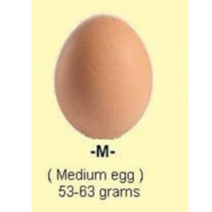 Telur Ukuran Sedang 1 Piring 54-63 gram 2