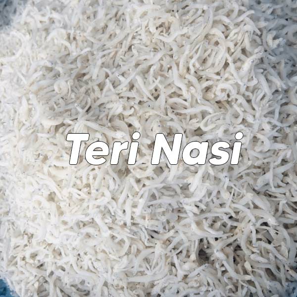 Teri Nasi