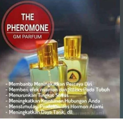 The Pheromone 