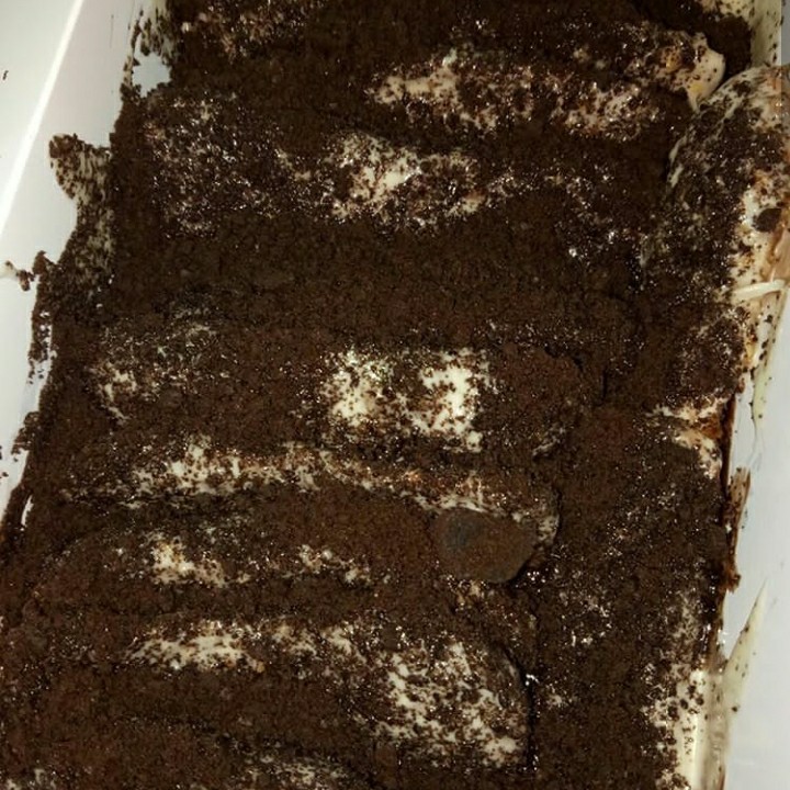 Tiramisu Original