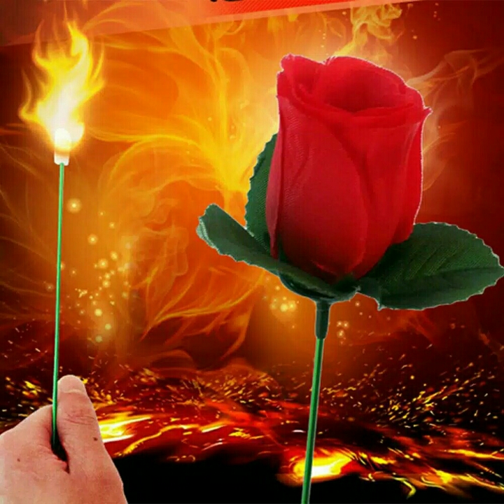 Torch To Rose