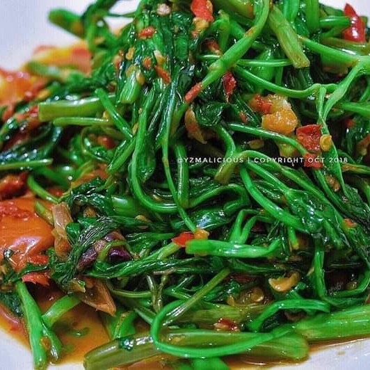 Tumis Kangkung