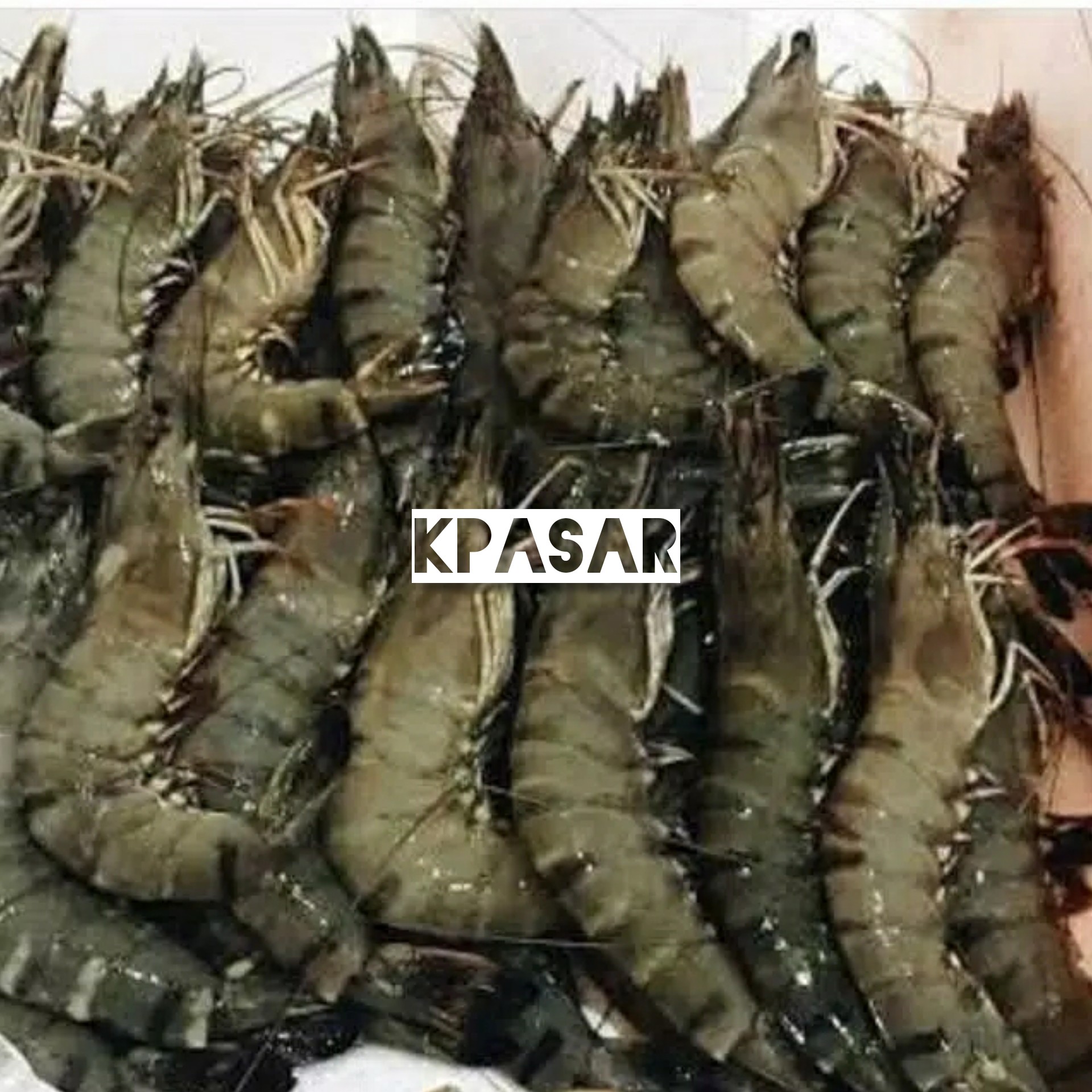 UDANG 500 GRAM