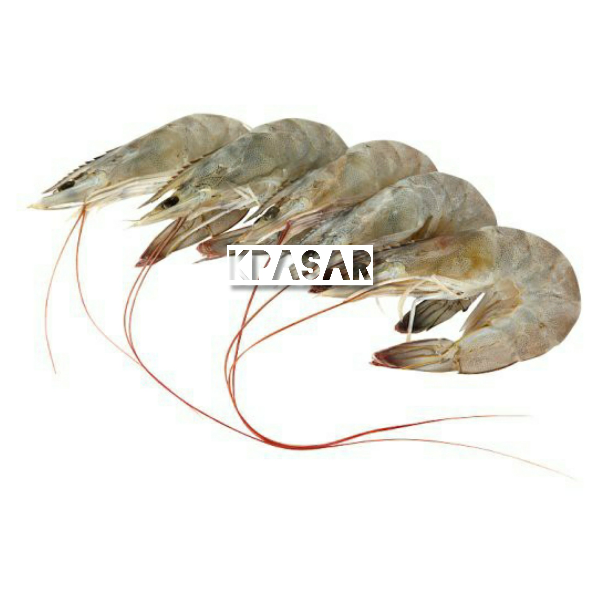 UDANG KEMASAN 250 GRAM