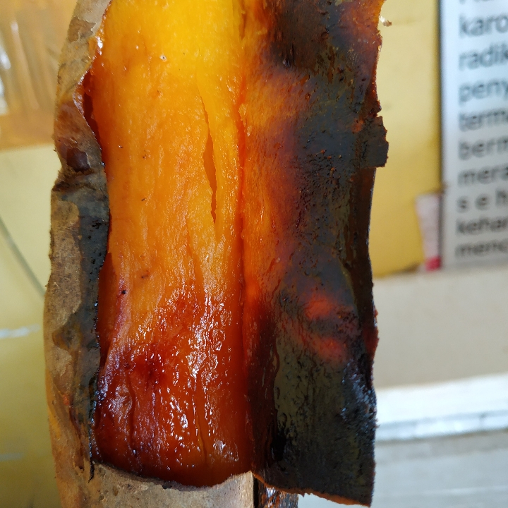 Ubi Bakar Madu Asli Cilembu Mateng 5