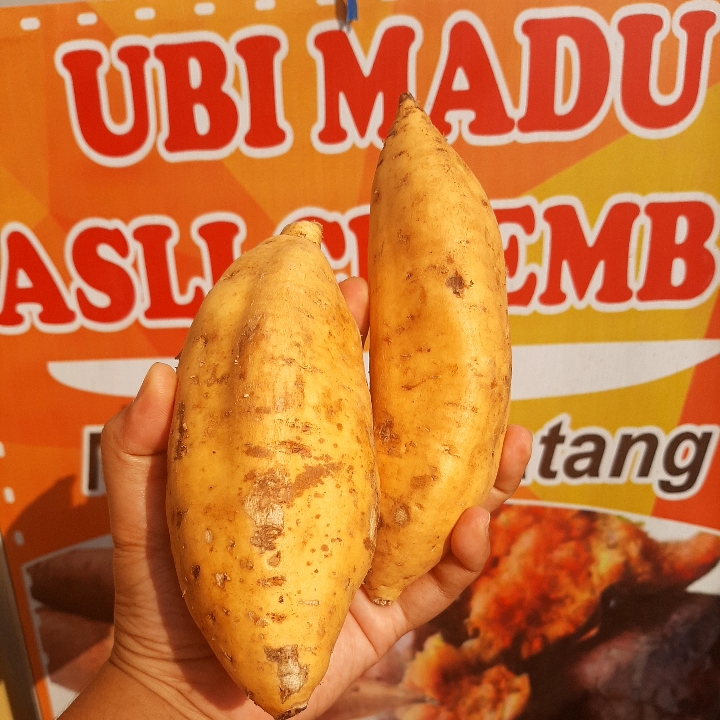 Ubi Madu Asli Cilembu Meleleh By Dinda