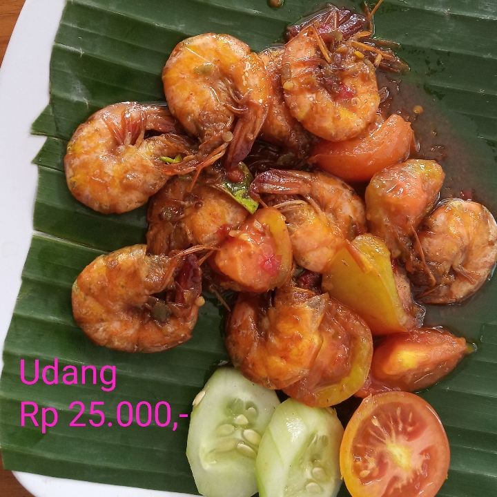 Udang