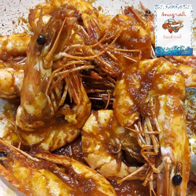 Udang