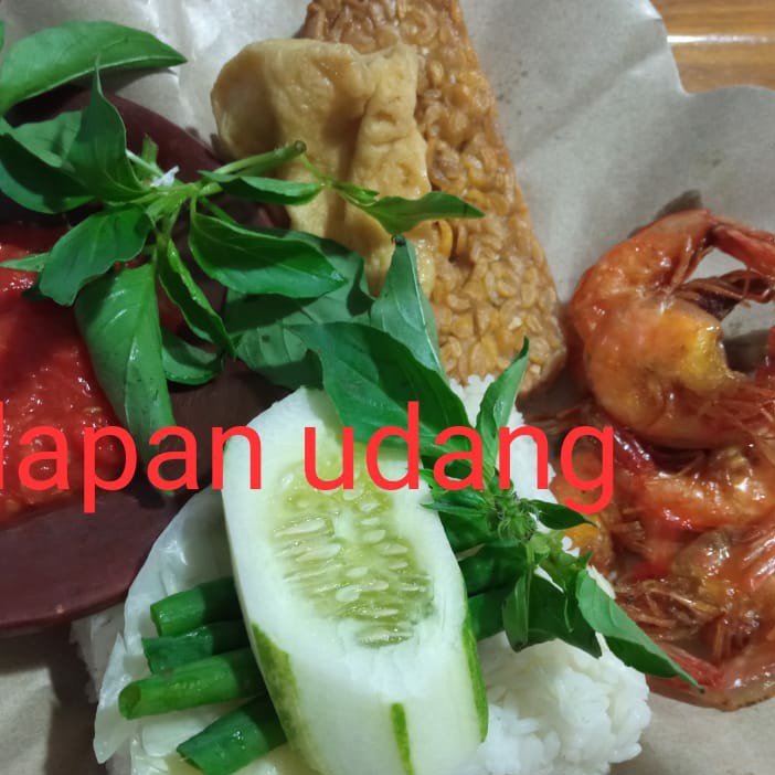 Udang