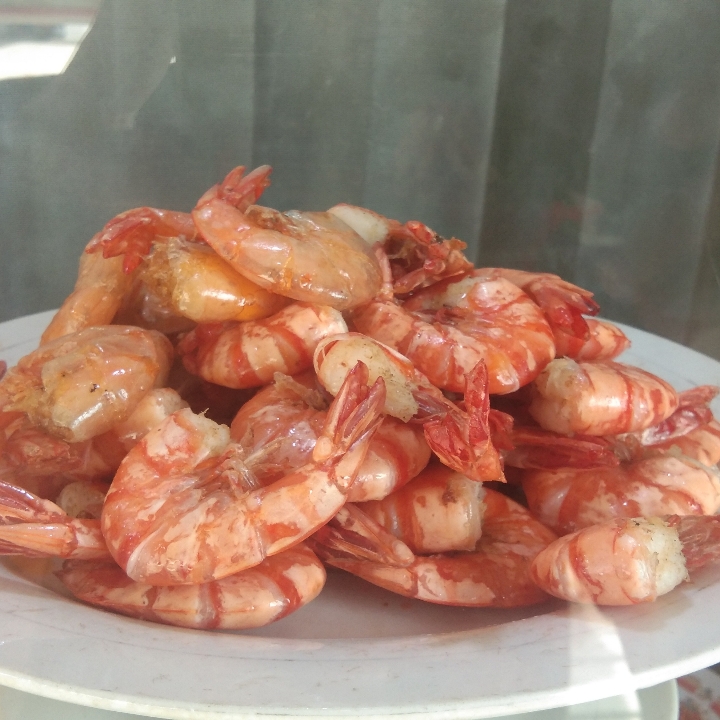 Udang