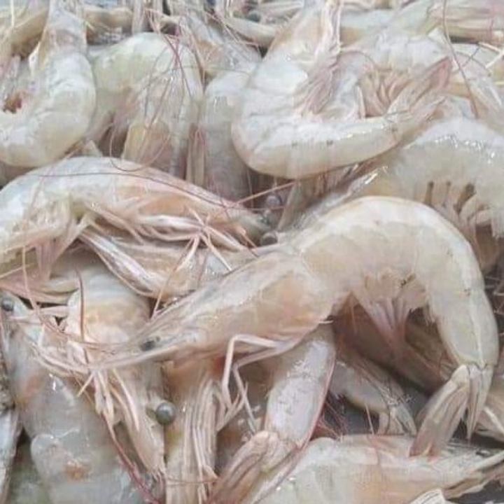 Udang Sedang 1 Kg