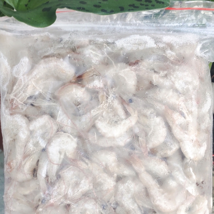 Udang Beku Size M