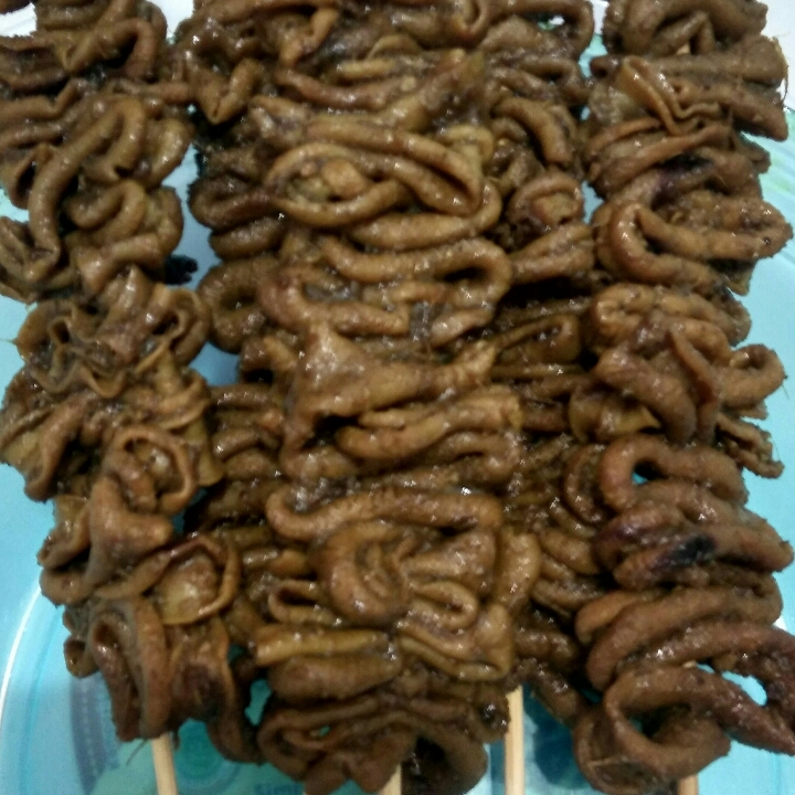 Usus Ayam