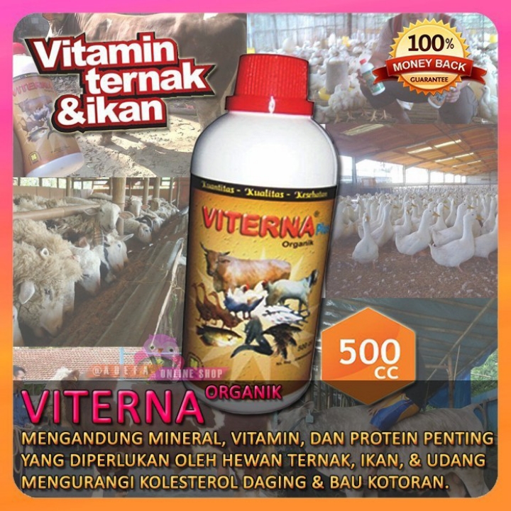 VITAMIN TERNAK 2