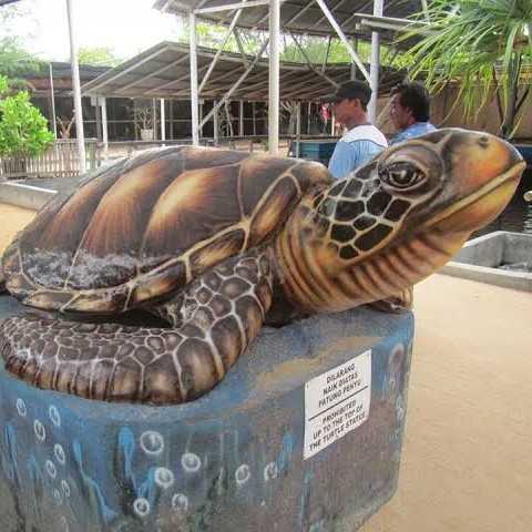 Glass Bottom Boat Turtle Island Bali Wahana 2